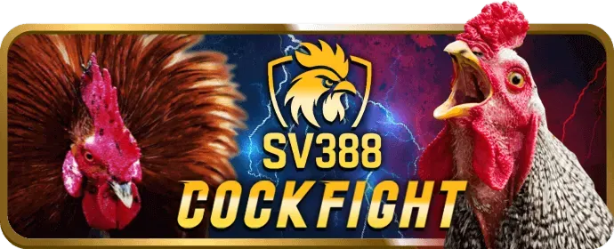 Chiến lược và mẹo chơi nổ hũ hiệu quả tại shbet65